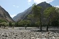 IMG_16429