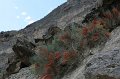 IMG_16443