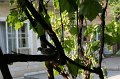 IMG_16489