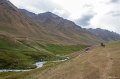 IMG_42113