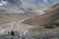 IMG_42806