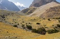 IMG_42859