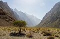 IMG_43071
