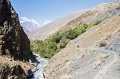 IMG_43134