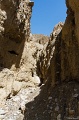 IMG_43136