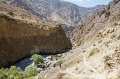 IMG_43139