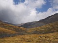 IMG_1932