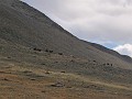 IMG_1939