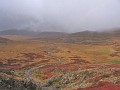 IMG_1947