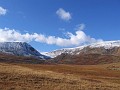 IMG_1955