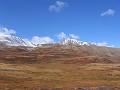 IMG_1959
