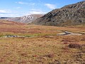 IMG_1960