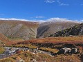 IMG_1964