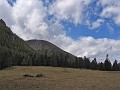 IMG_1976