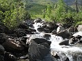 IMG_0382