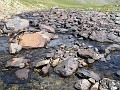 IMG_0406