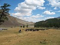 IMG_0429