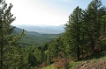 IMG_09682