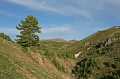 IMG_09694