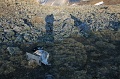 IMG_09948