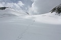 IMG_10007