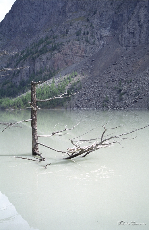 04-33.jpg -     