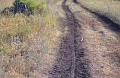 05-08