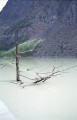 Next image