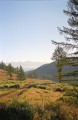 Previous image