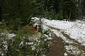 IMG_17153