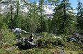 IMG_17185