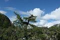 IMG_17199