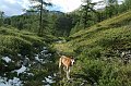 IMG_17216