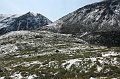 IMG_17316