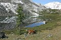 IMG_17331