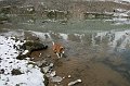 IMG_17392