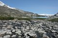 IMG_17397