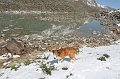 IMG_17412