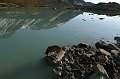 IMG_17444