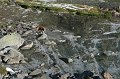 IMG_17466