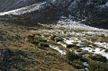 IMG_17474