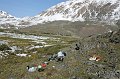 IMG_17476