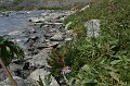 IMG_17507