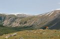 IMG_17554