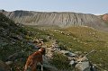 IMG_17574