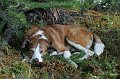 IMG_17580