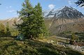 IMG_17581