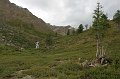IMG_17731
