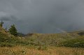 IMG_17733