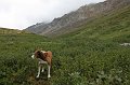 IMG_17753